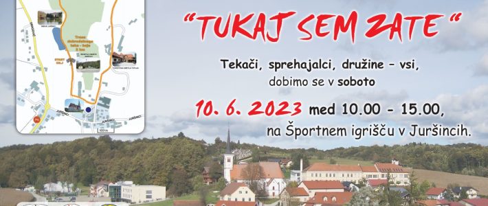 Dobrodelni pohod, tek