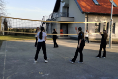 IMG_20250307_164146-1